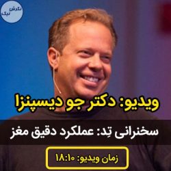 عملکرد مغز انسان