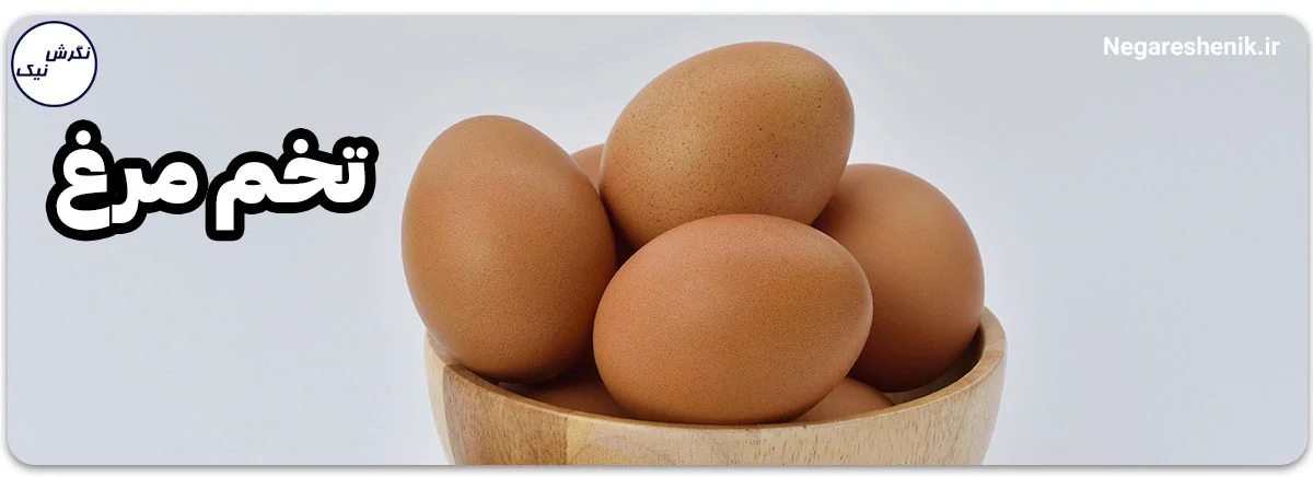 تخم مرغ برای افزایش انرژی بدن