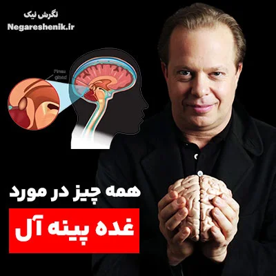 همه چیز در مورد غده صنوبری