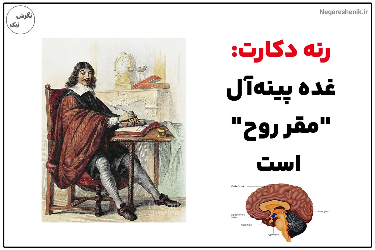 نظر رنه دکارت در مورد غده پینه آل